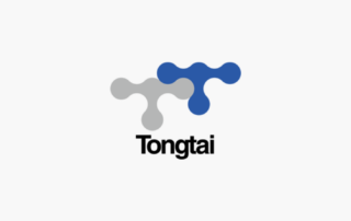 LOGO TONGTAI - ACTIFIVE CONCEPT